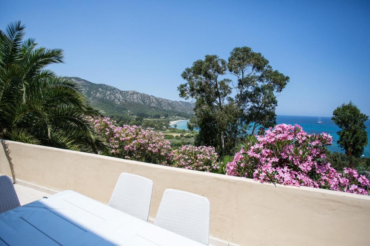 Appartement Terrasse La Citadelle Appartements Saint Florent Eksteriør billede